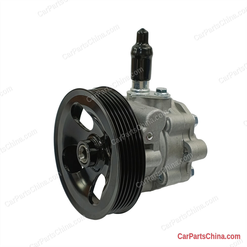 Power Steering Pump 49110-A010P
