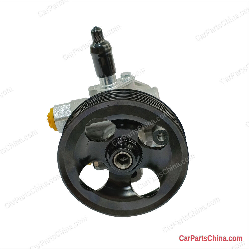 Power Steering Pump 49110-A010P